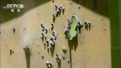 穿甲弹爆料视频,震撼爆料的军事武器实况解析  第1张